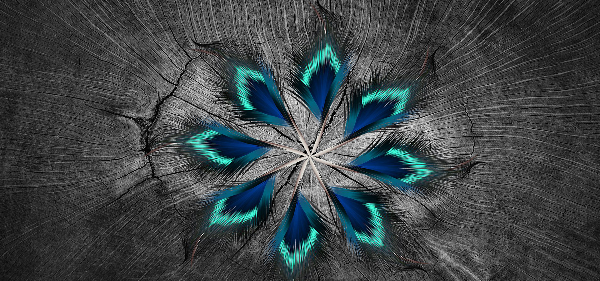 盛色颜料，变色技术解决方案